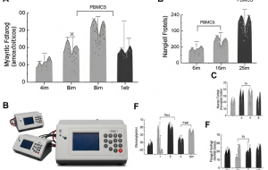 آیا یه آزمایش خون جدید واقعاً می‌تونه ME/CFS رو تشخیص بده؟ اینم از چیزایی که می‌دونیم